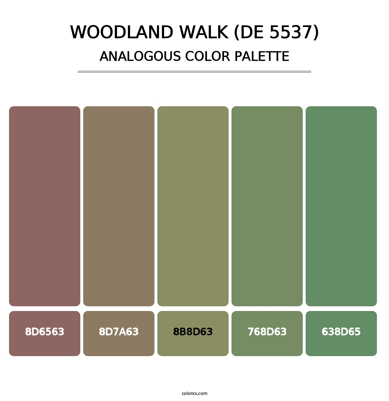 Woodland Walk (DE 5537) - Analogous Color Palette
