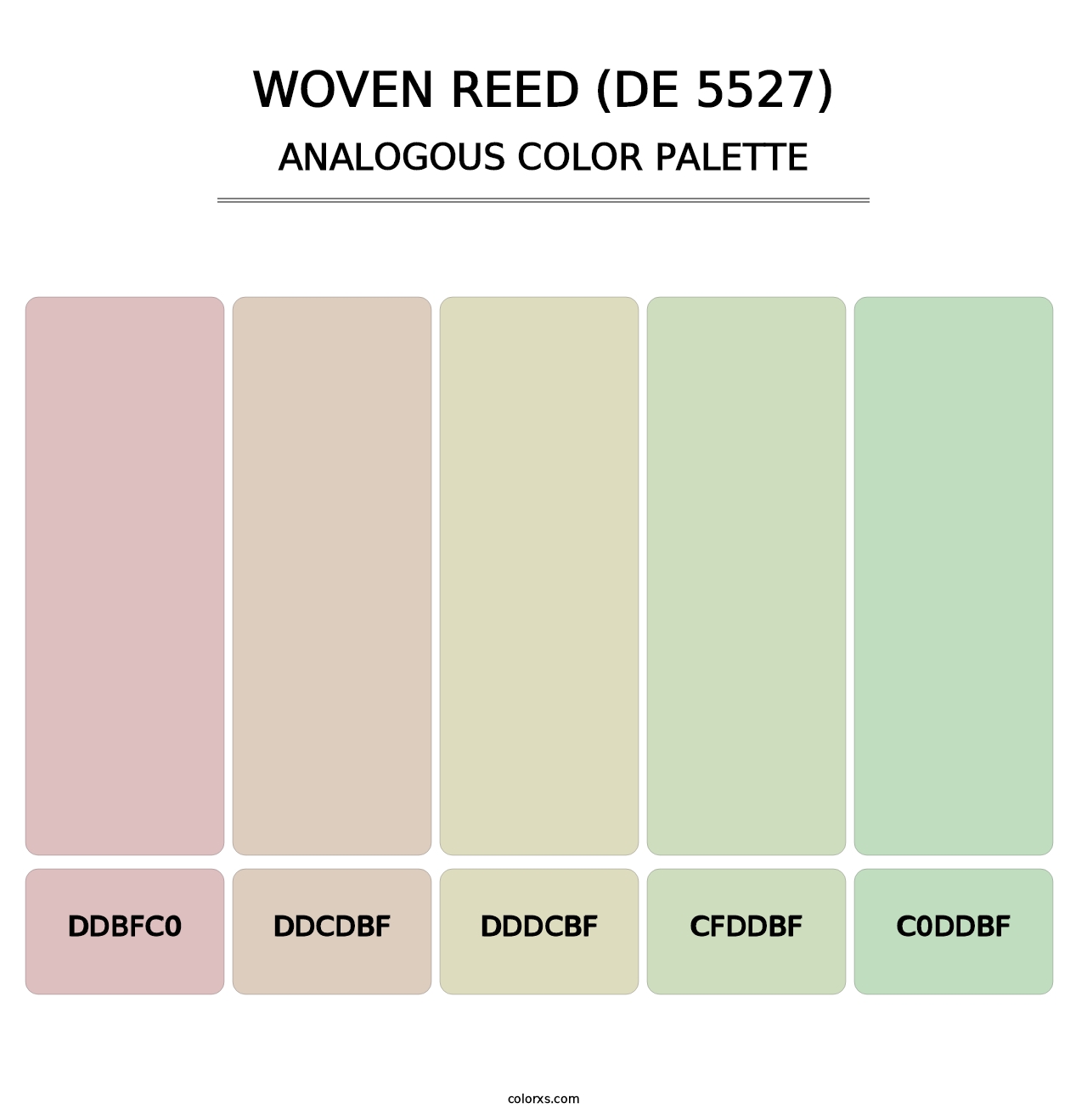 Woven Reed (DE 5527) - Analogous Color Palette
