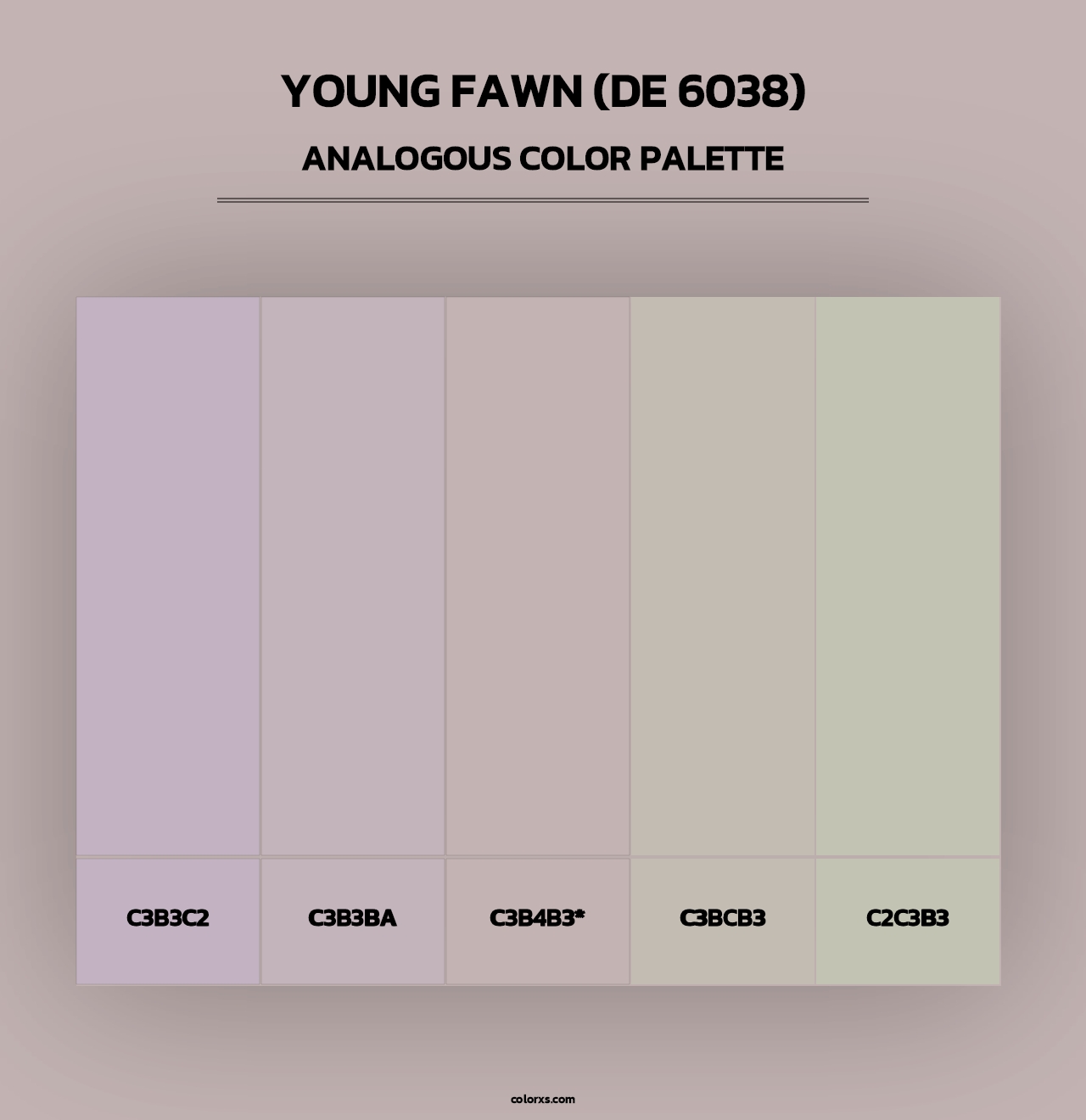 Young Fawn (DE 6038) - Analogous Color Palette