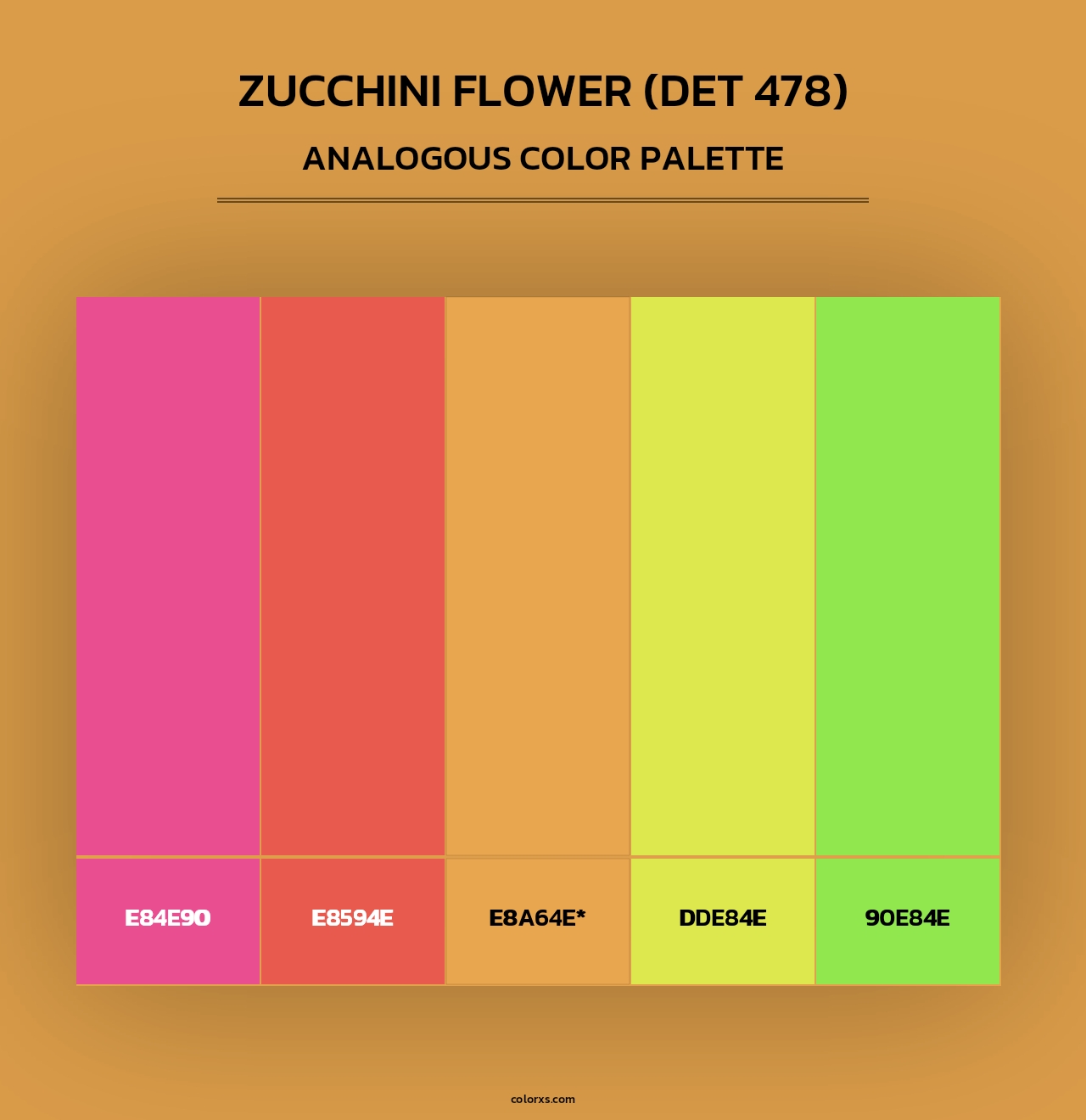Zucchini Flower (DET 478) - Analogous Color Palette
