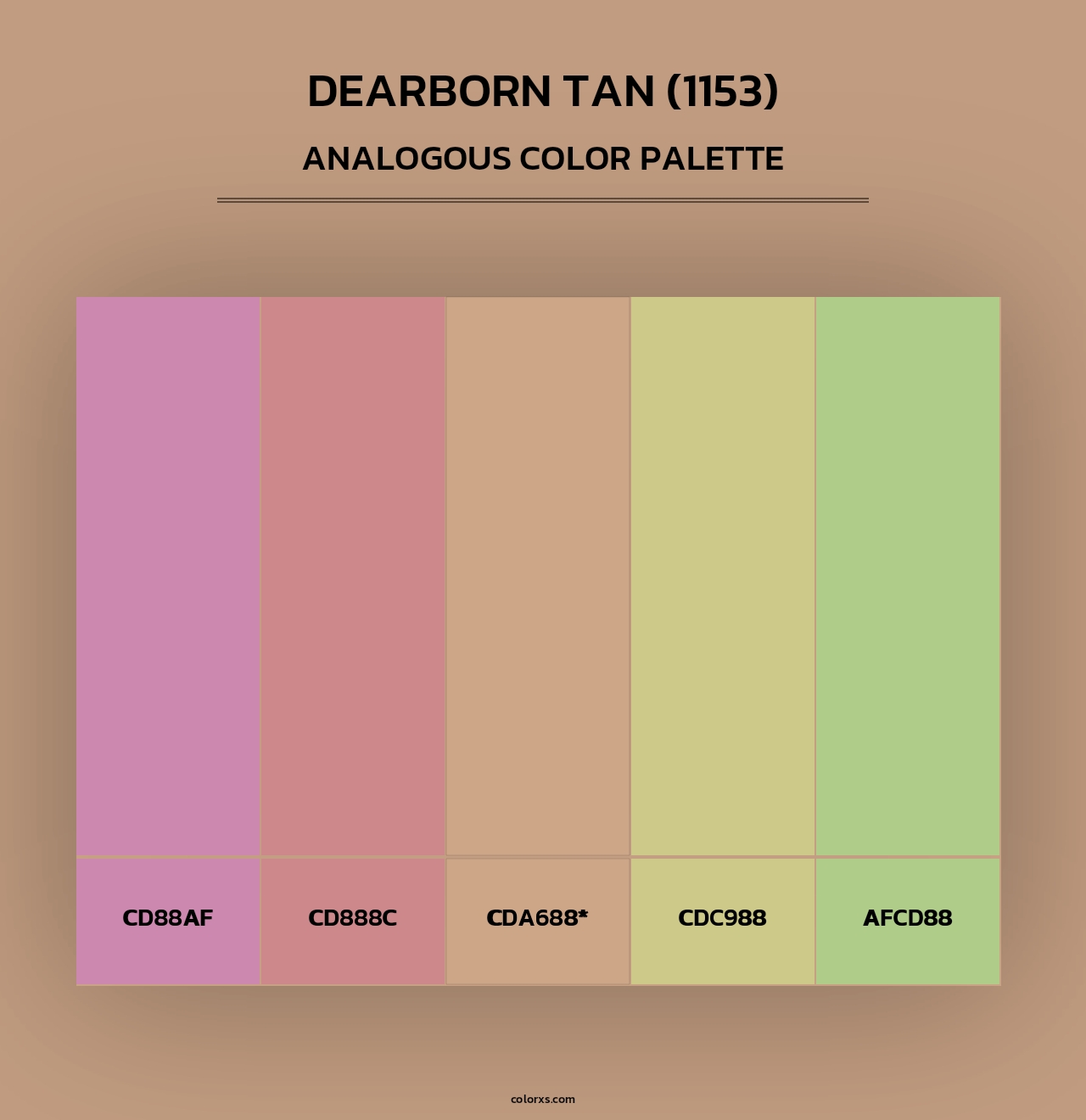 Dearborn Tan (1153) - Analogous Color Palette