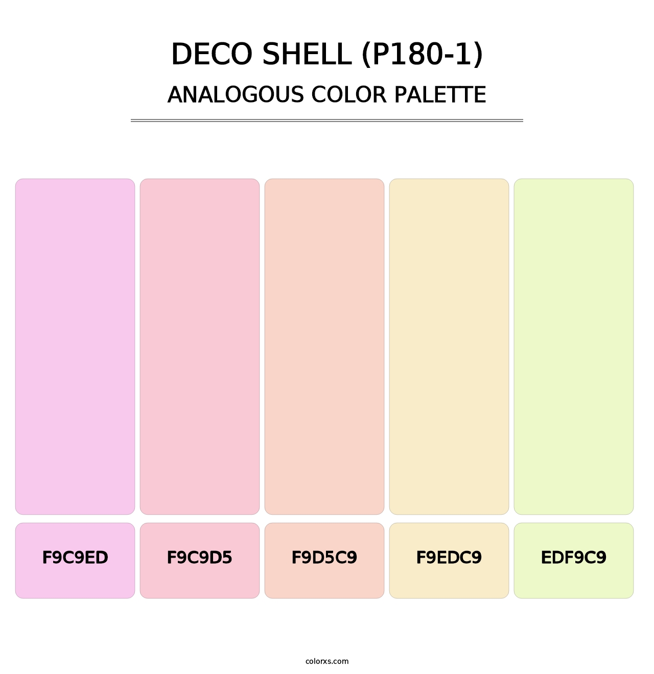 Deco Shell (P180-1) - Analogous Color Palette