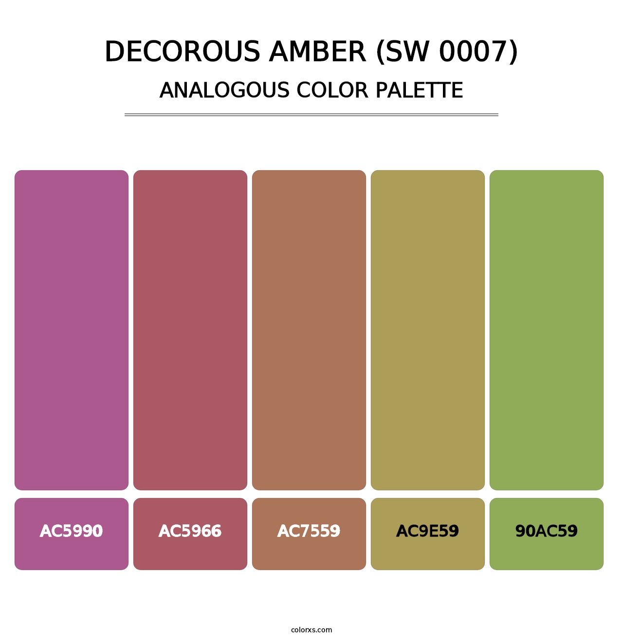 Decorous Amber (SW 0007) - Analogous Color Palette