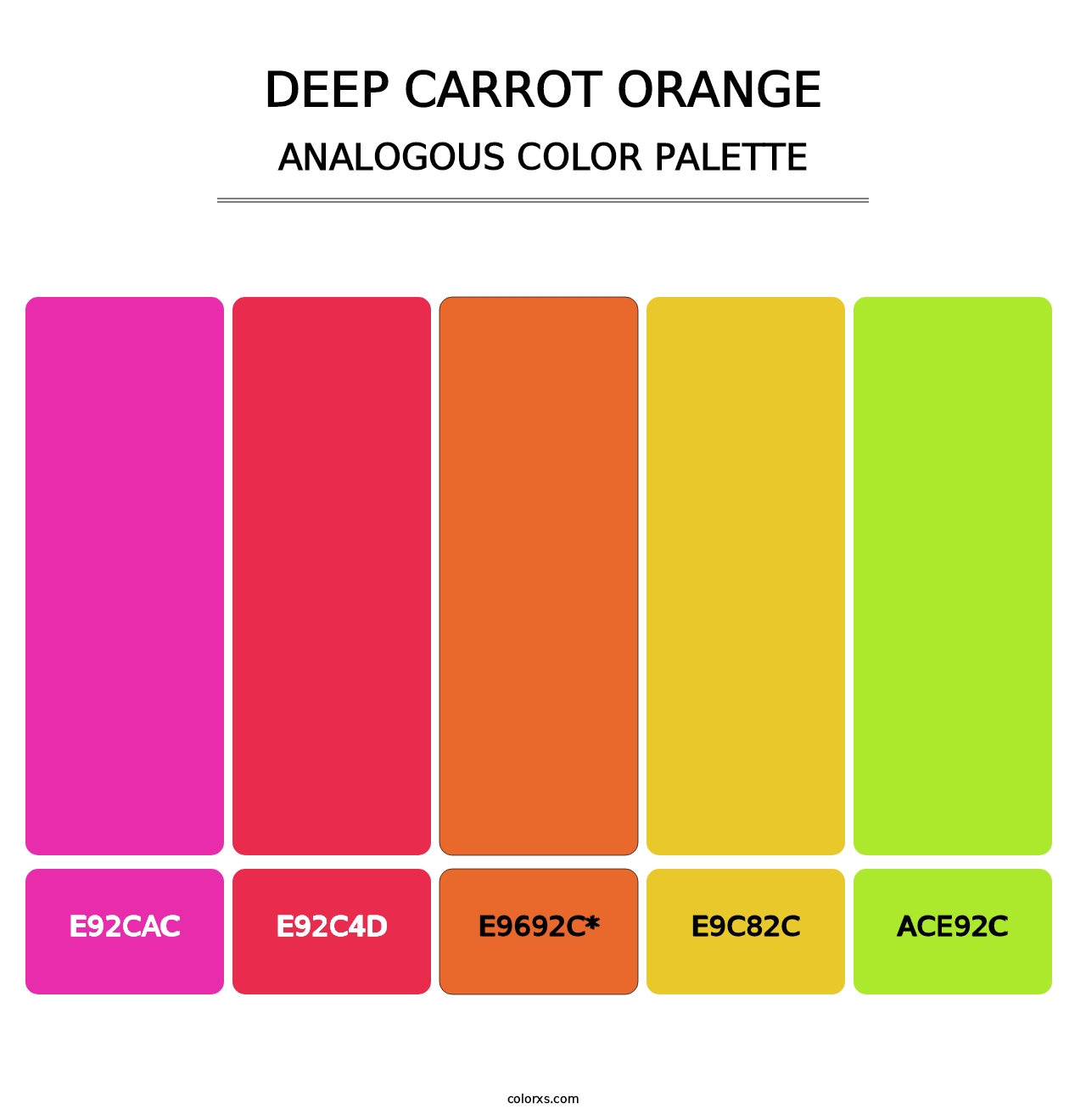 Deep Carrot Orange - Analogous Color Palette