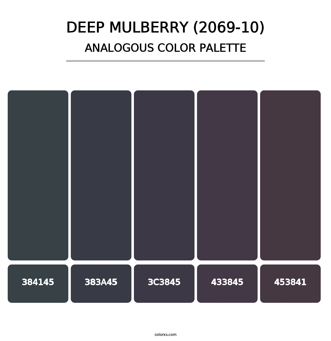 Deep Mulberry (2069-10) - Analogous Color Palette