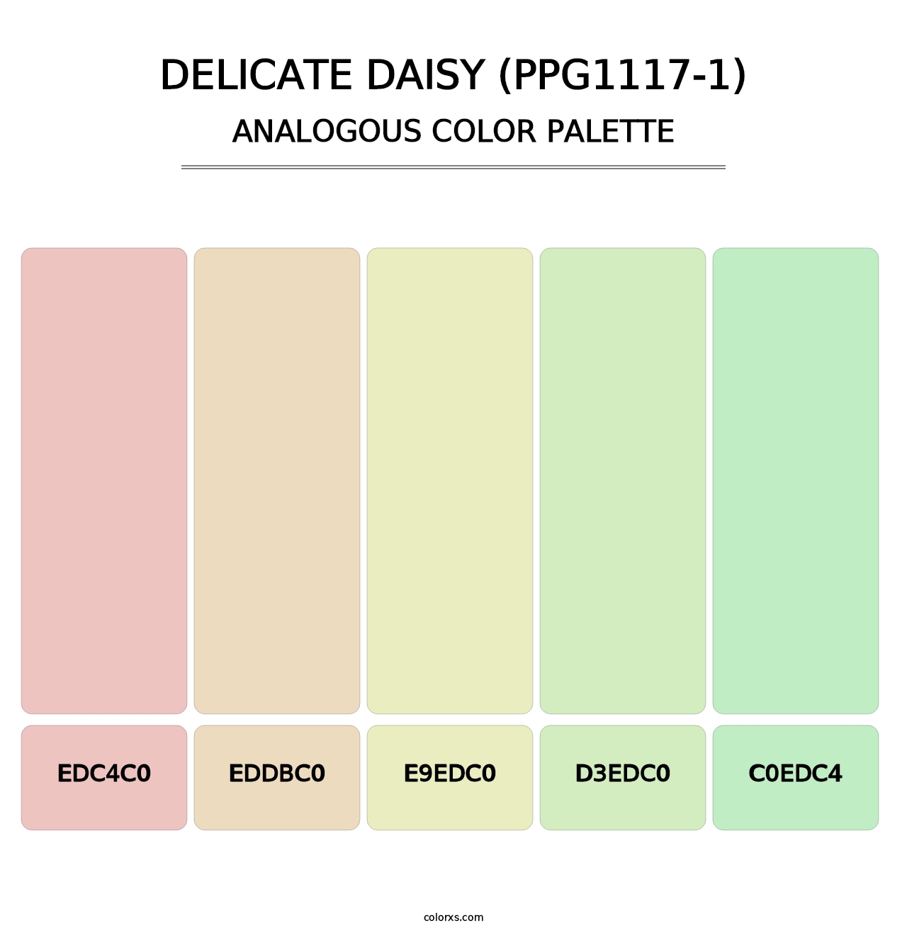 Delicate Daisy (PPG1117-1) - Analogous Color Palette