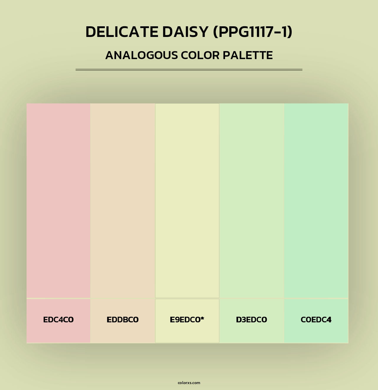 Delicate Daisy (PPG1117-1) - Analogous Color Palette