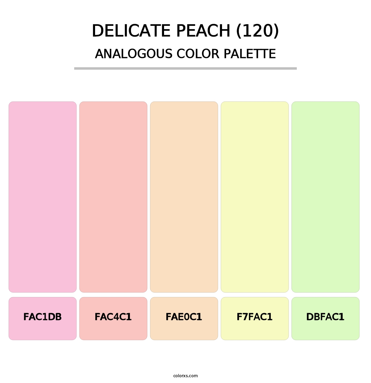 Delicate Peach (120) - Analogous Color Palette