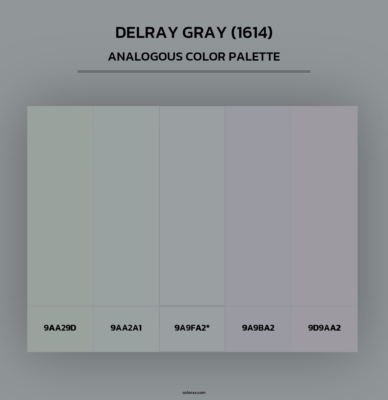 Delray Gray (1614) - Analogous Color Palette