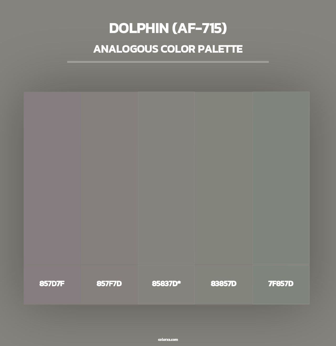 Dolphin (AF-715) - Analogous Color Palette