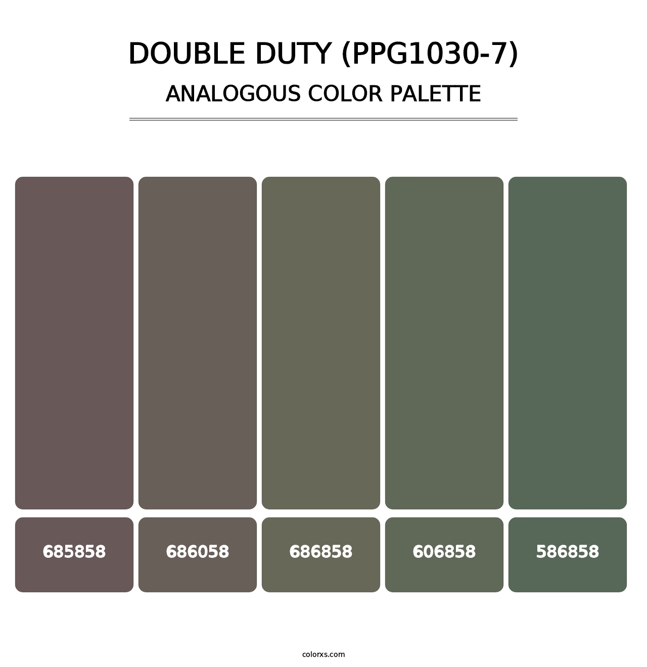 Double Duty (PPG1030-7) - Analogous Color Palette