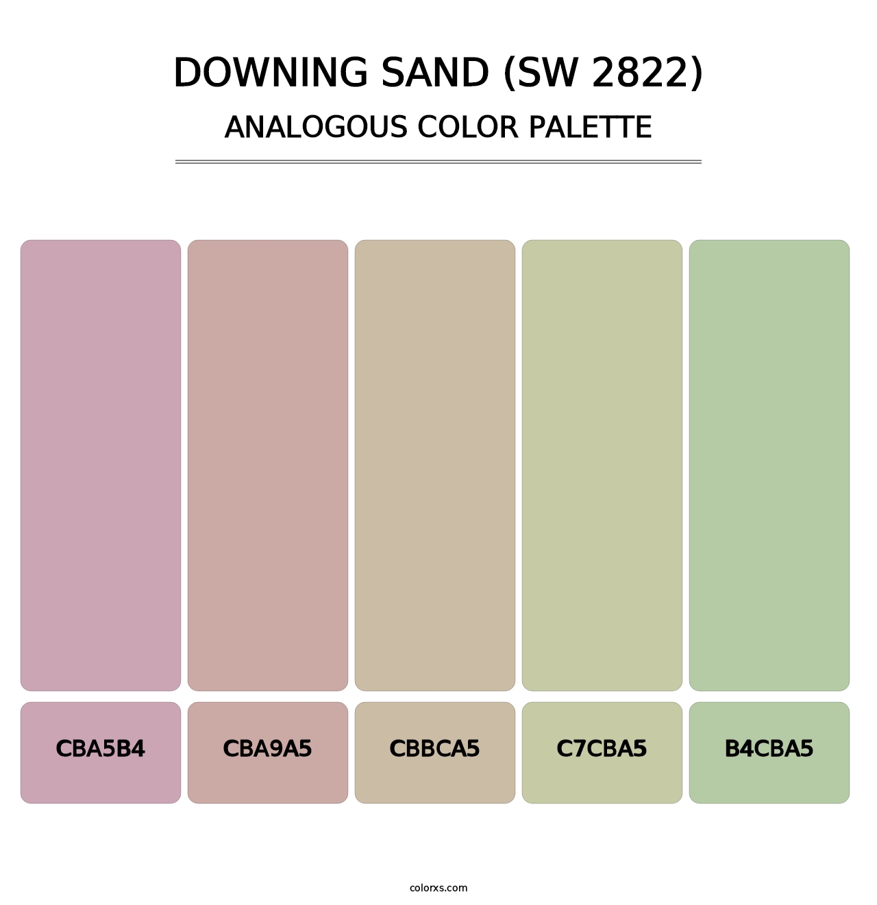 Downing Sand (SW 2822) - Analogous Color Palette