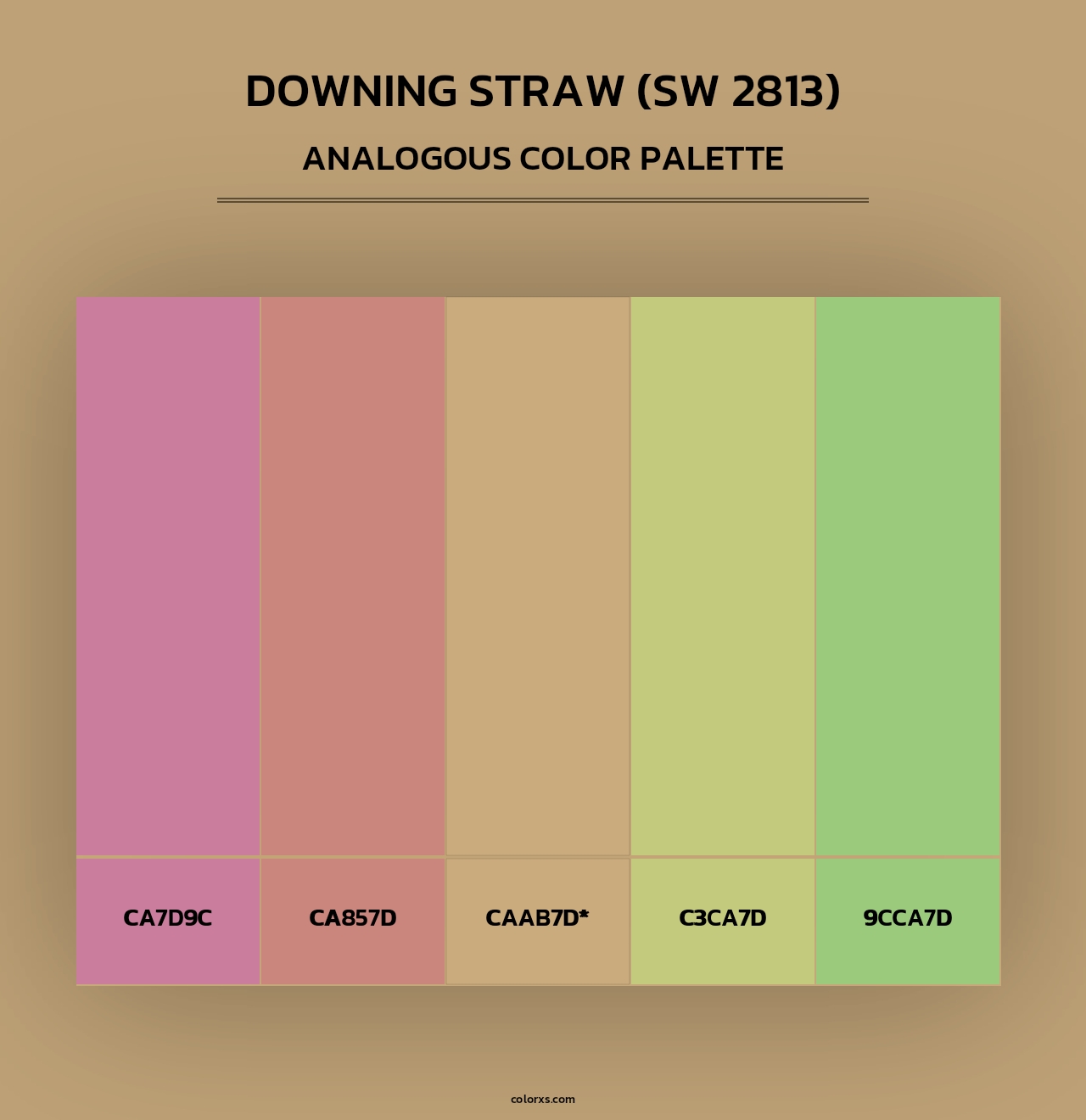 Downing Straw (SW 2813) - Analogous Color Palette