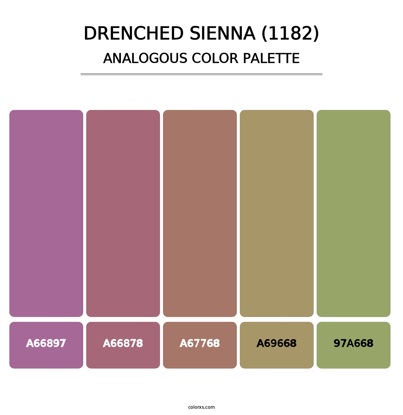 Drenched Sienna (1182) - Analogous Color Palette