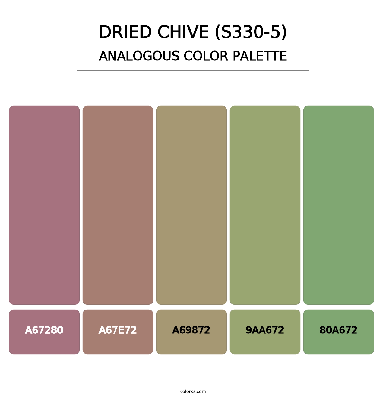 Dried Chive (S330-5) - Analogous Color Palette