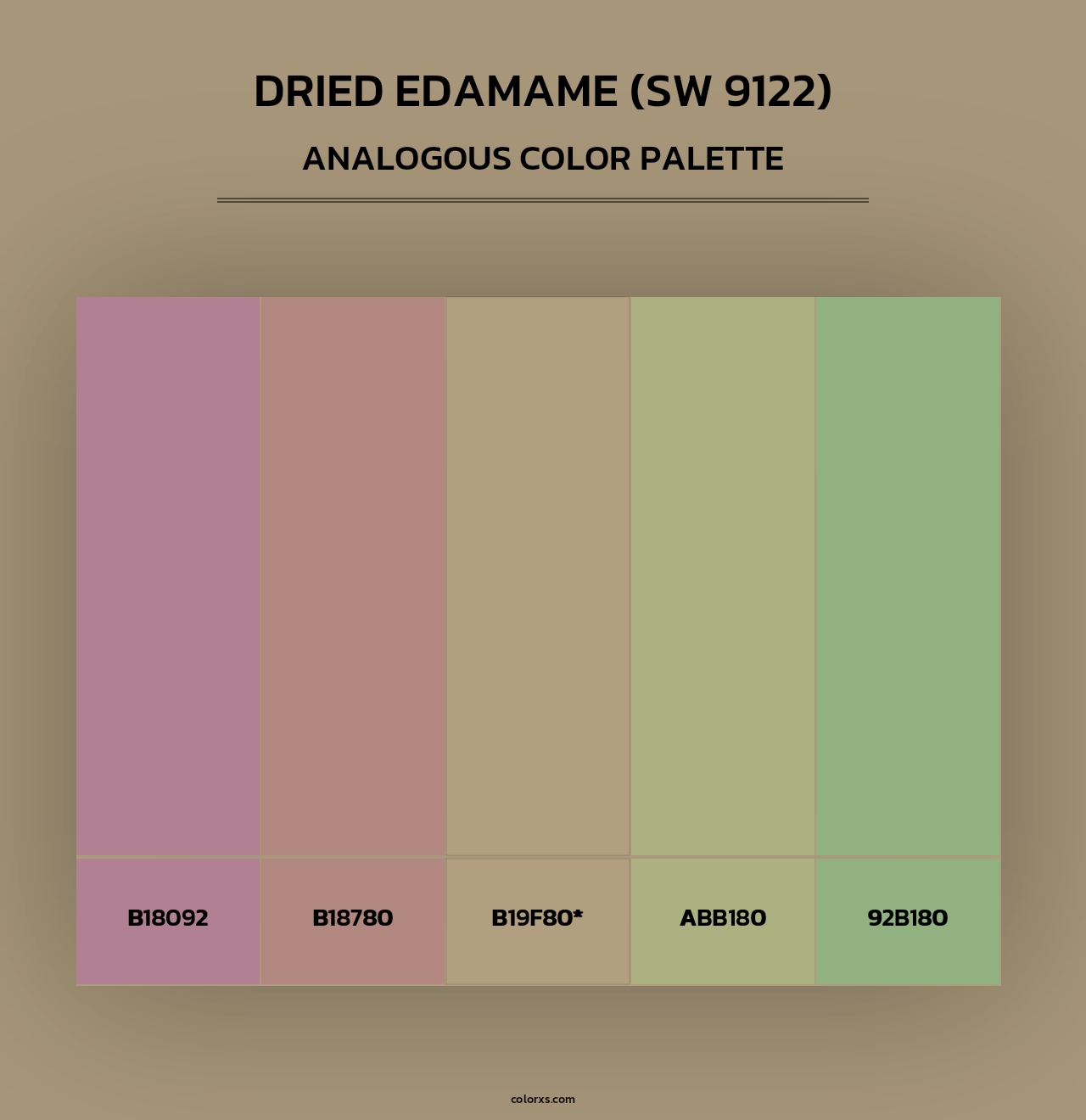 Dried Edamame (SW 9122) - Analogous Color Palette
