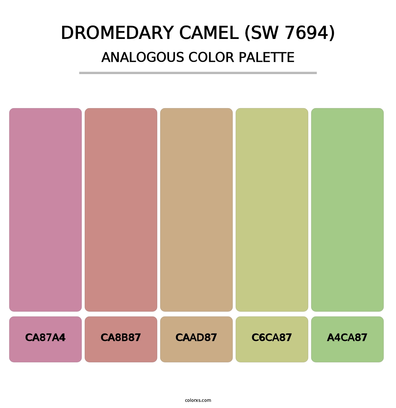 Dromedary Camel (SW 7694) - Analogous Color Palette