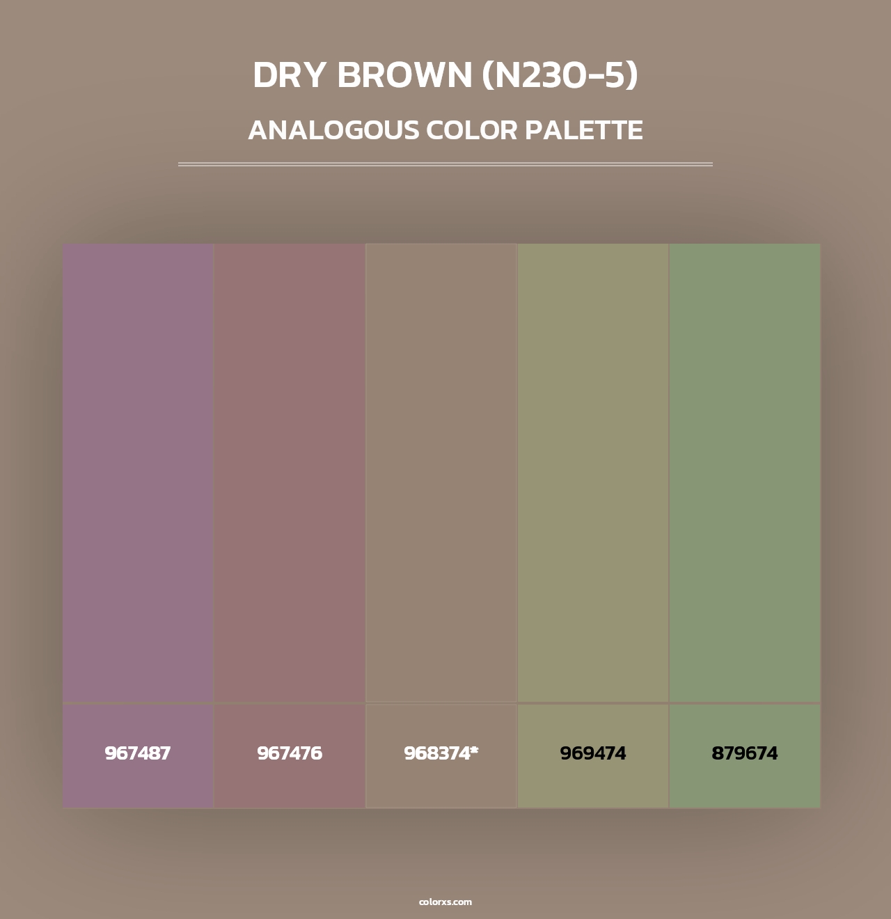 Dry Brown (N230-5) - Analogous Color Palette