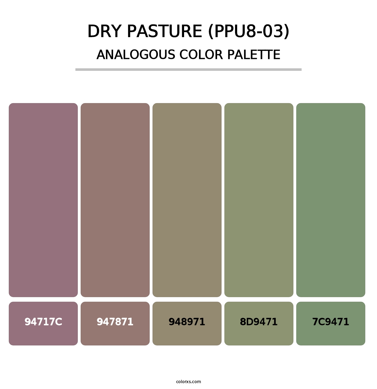 Dry Pasture (PPU8-03) - Analogous Color Palette