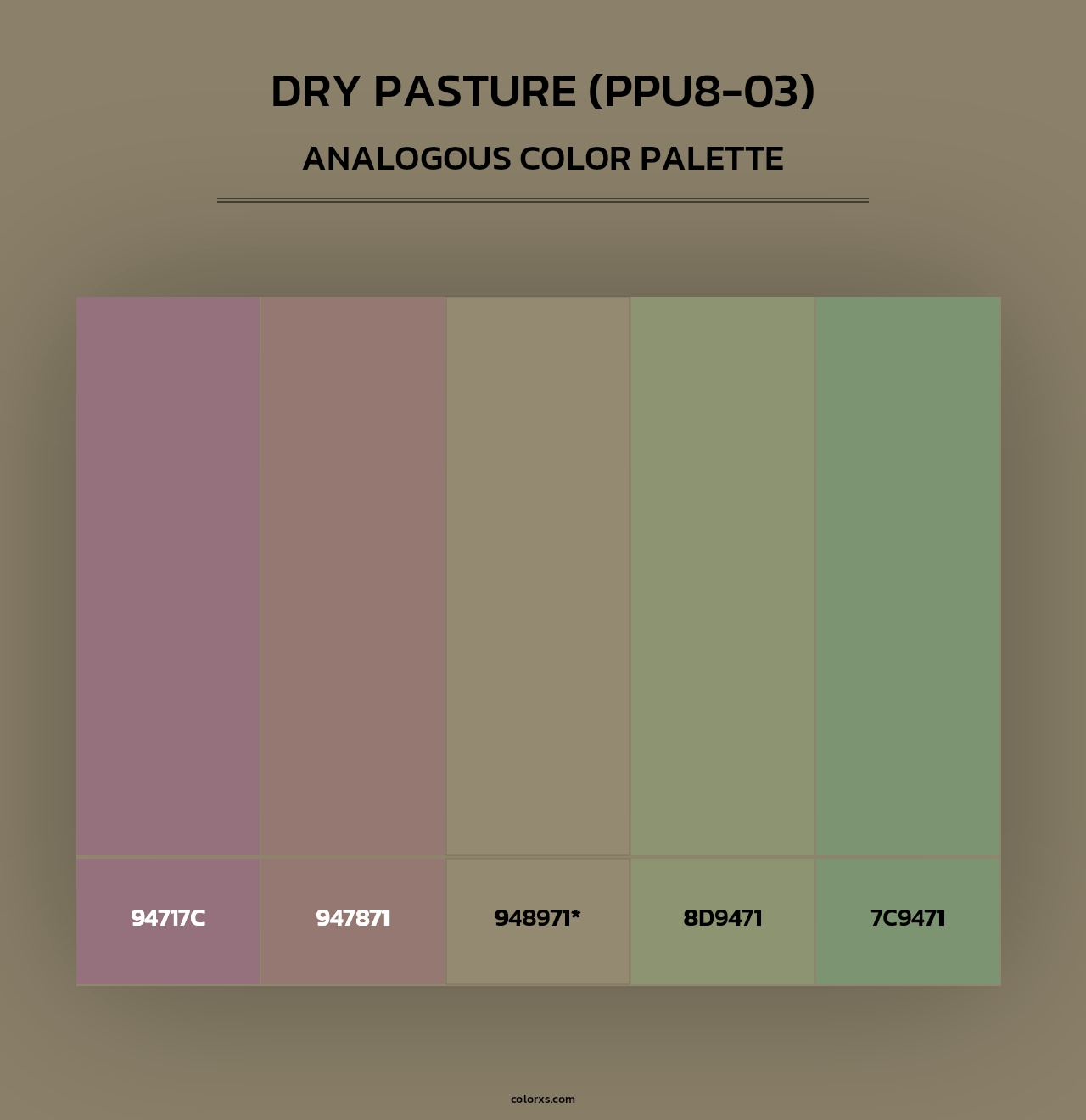 Dry Pasture (PPU8-03) - Analogous Color Palette