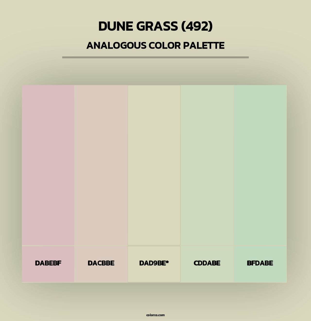Dune Grass (492) - Analogous Color Palette