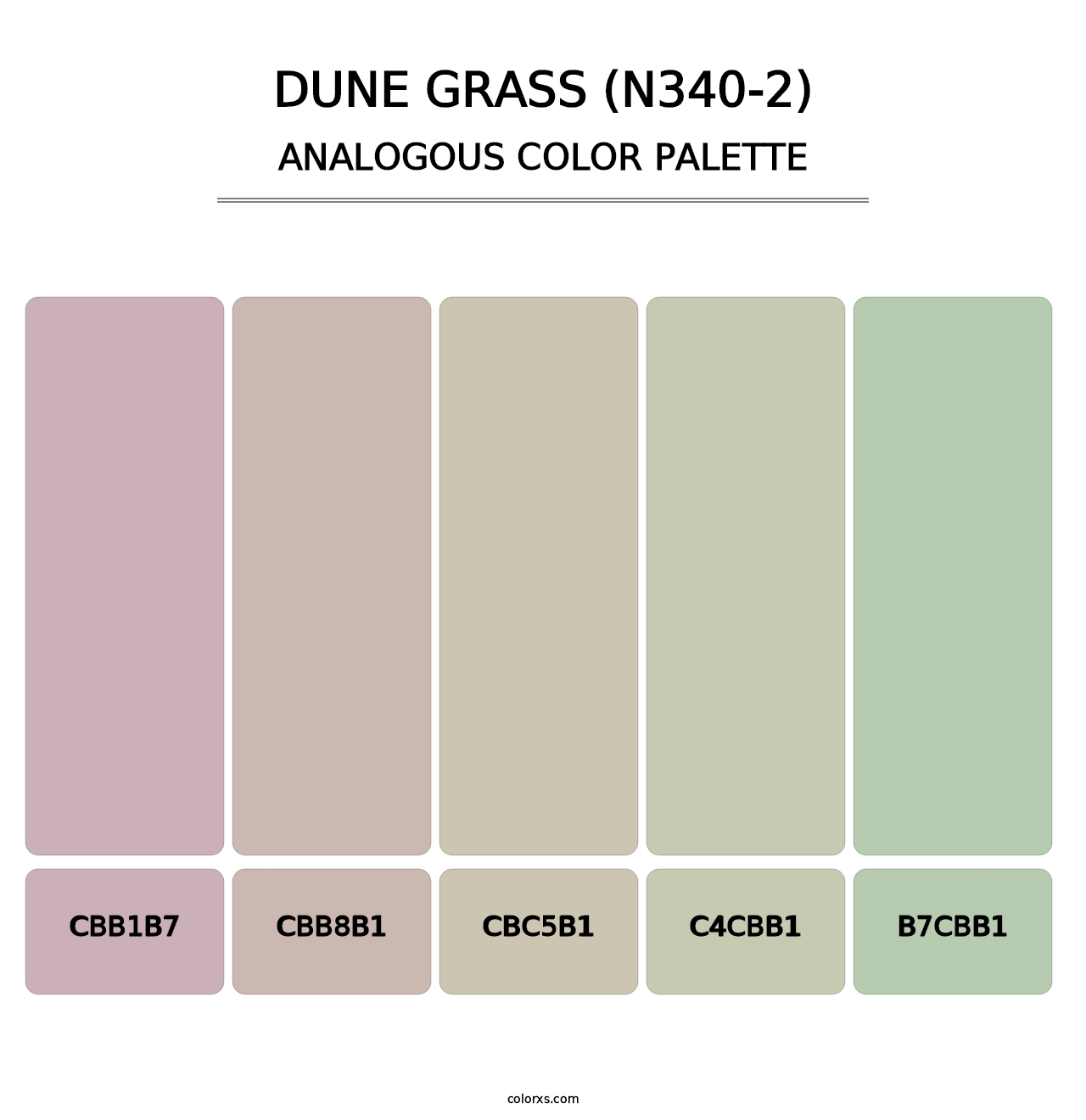 Dune Grass (N340-2) - Analogous Color Palette