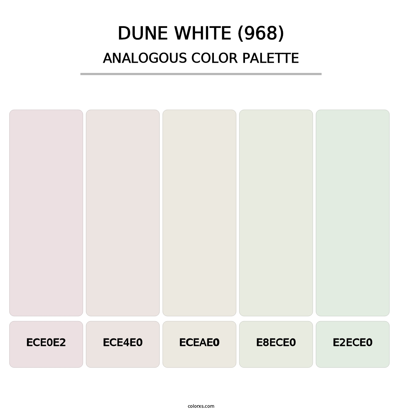 Dune White (968) - Analogous Color Palette