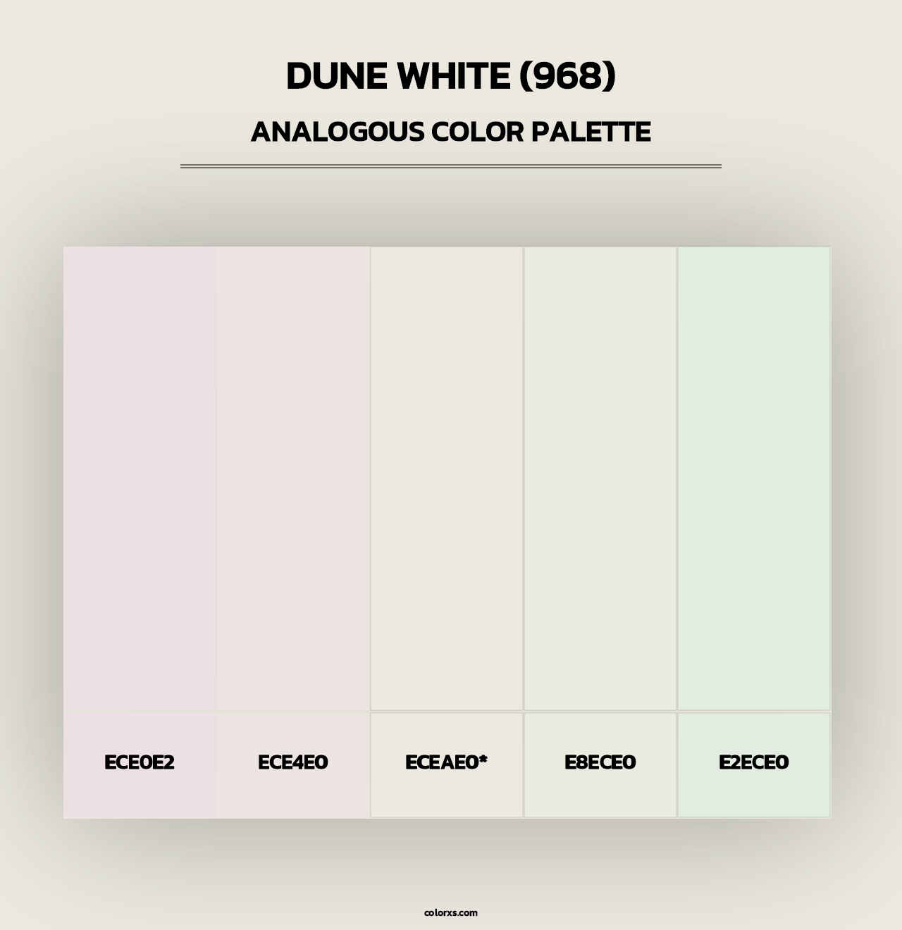 Dune White (968) - Analogous Color Palette