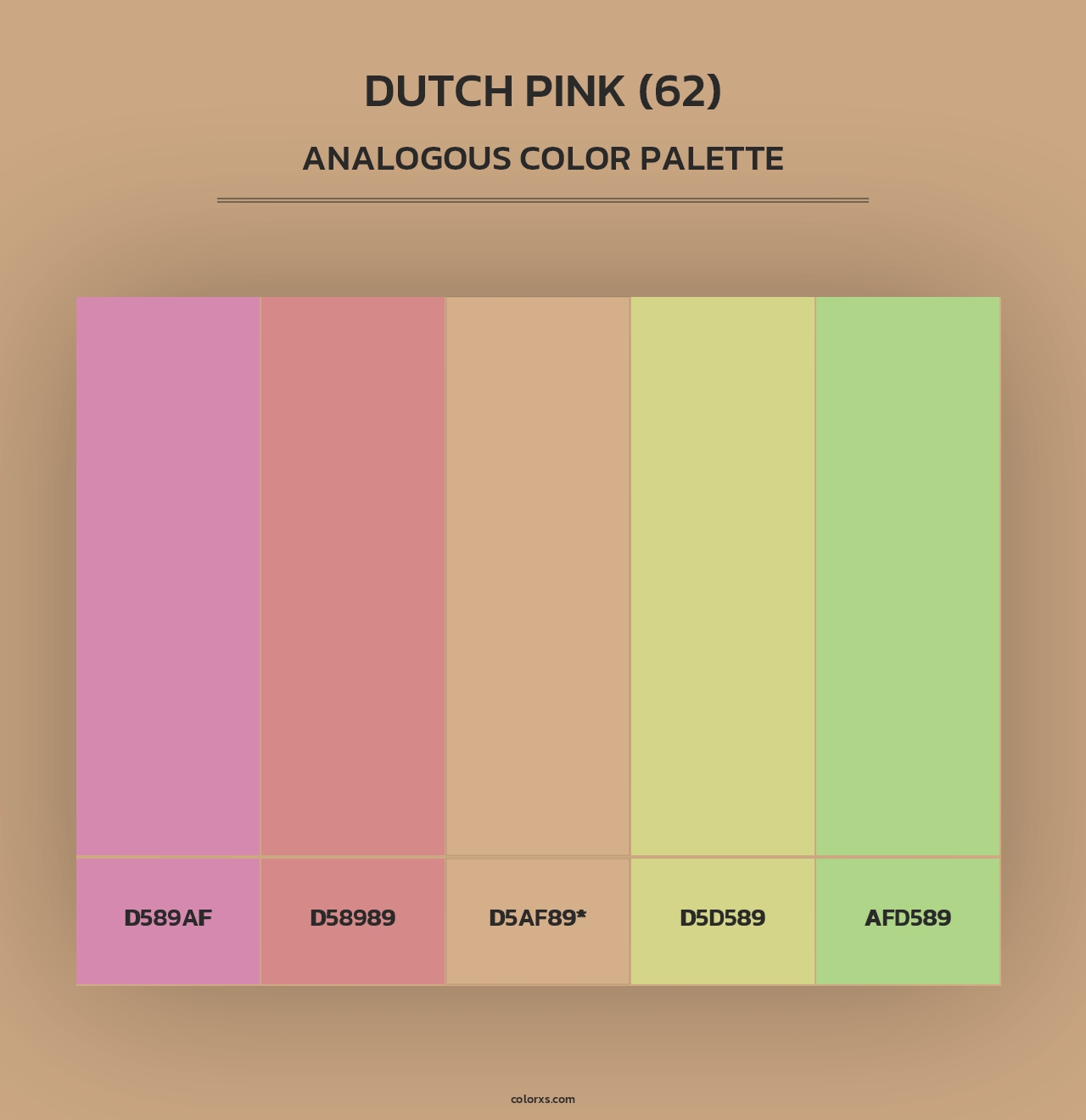 Dutch Pink (62) - Analogous Color Palette