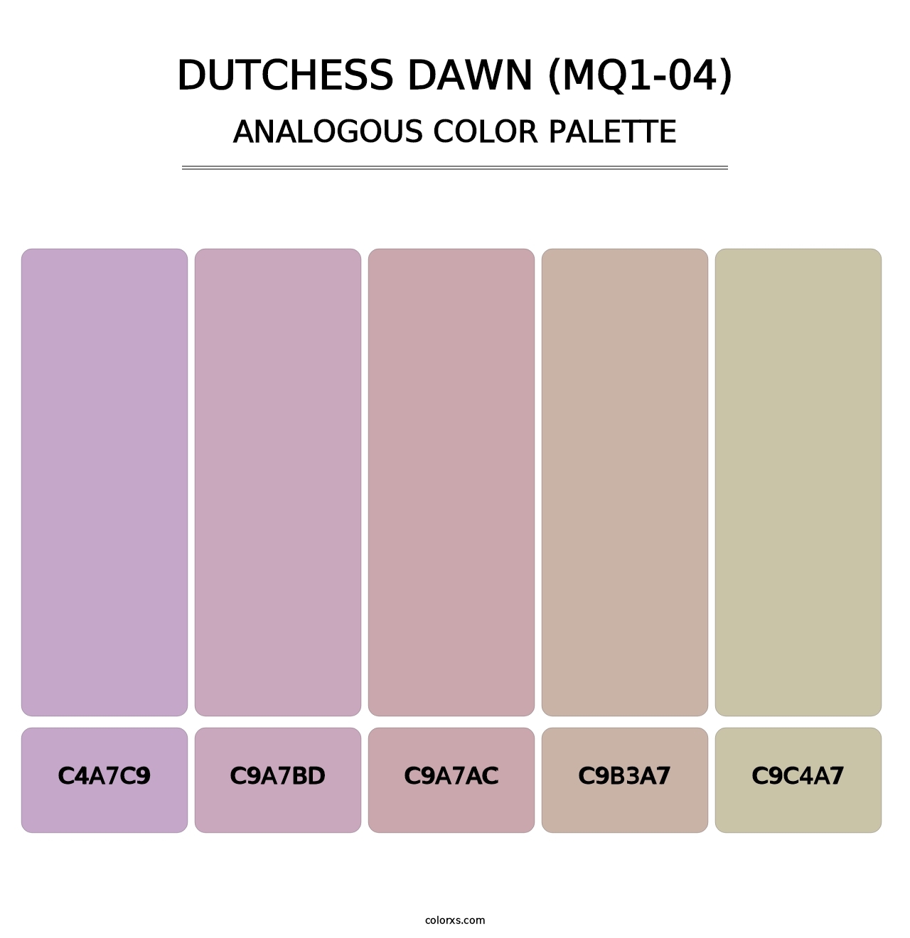 Dutchess Dawn (MQ1-04) - Analogous Color Palette