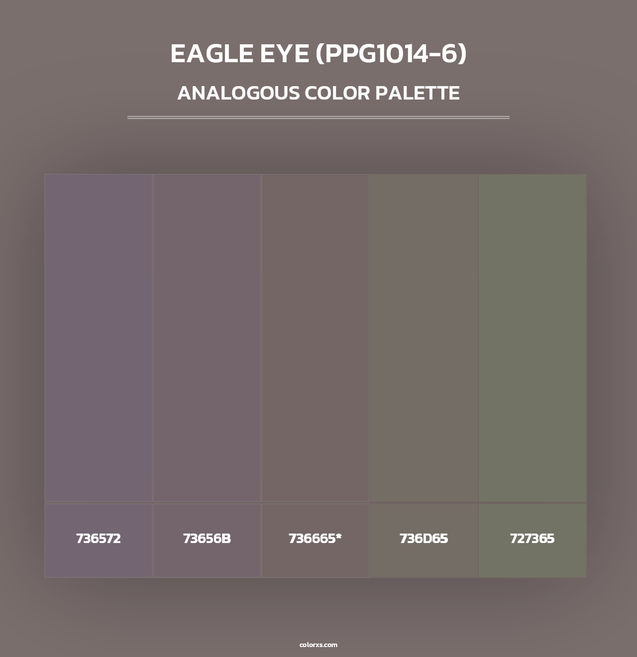 Eagle Eye (PPG1014-6) - Analogous Color Palette