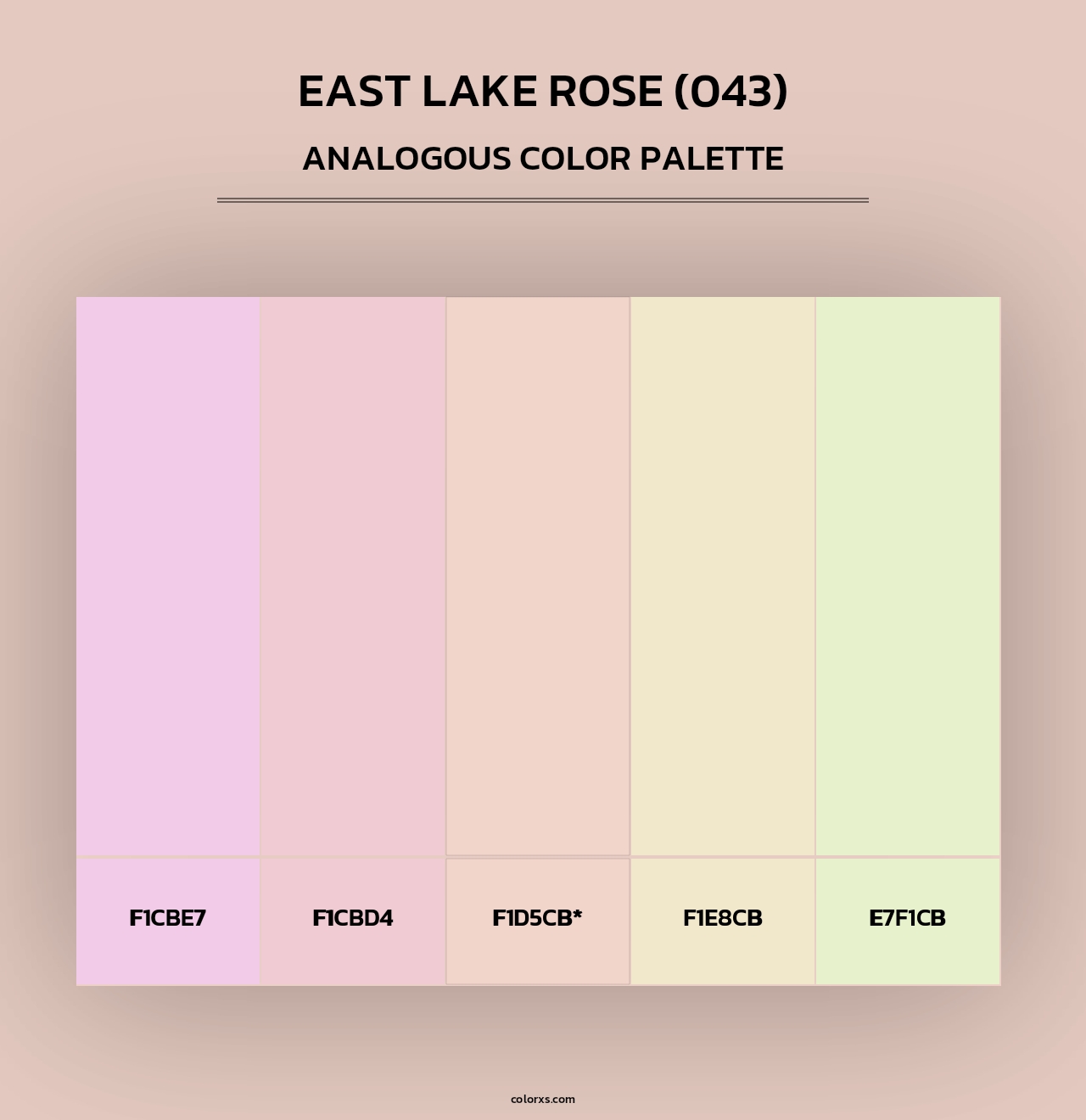 East Lake Rose (043) - Analogous Color Palette