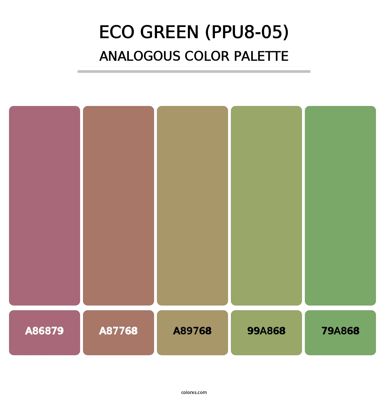 Eco Green (PPU8-05) - Analogous Color Palette