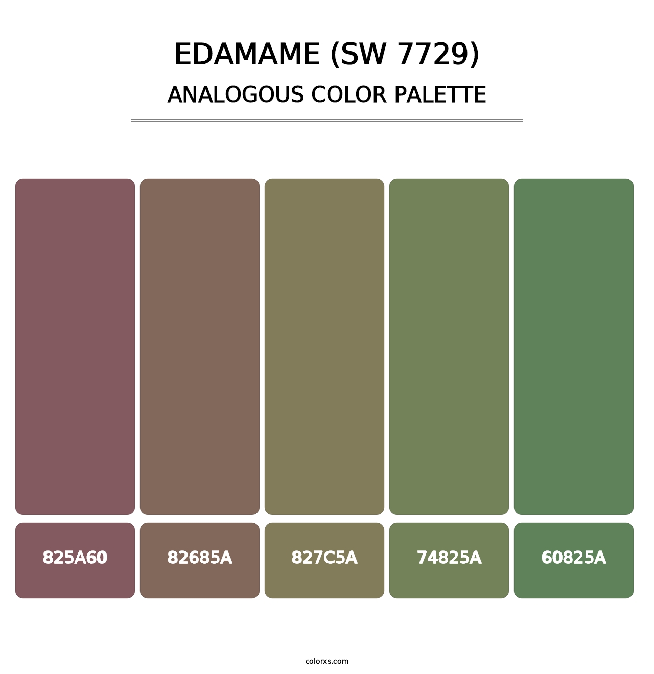 Edamame (SW 7729) - Analogous Color Palette
