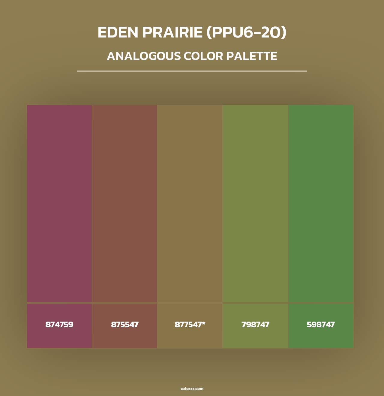 Eden Prairie (PPU6-20) - Analogous Color Palette
