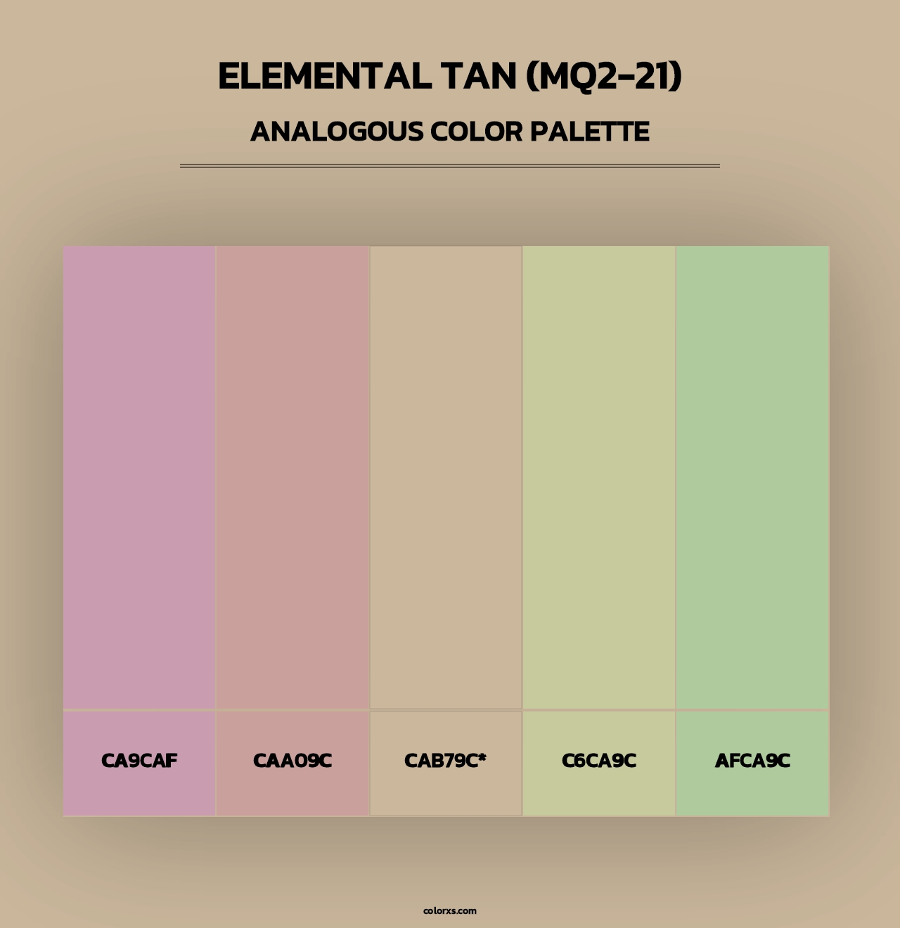 Elemental Tan (MQ2-21) - Analogous Color Palette