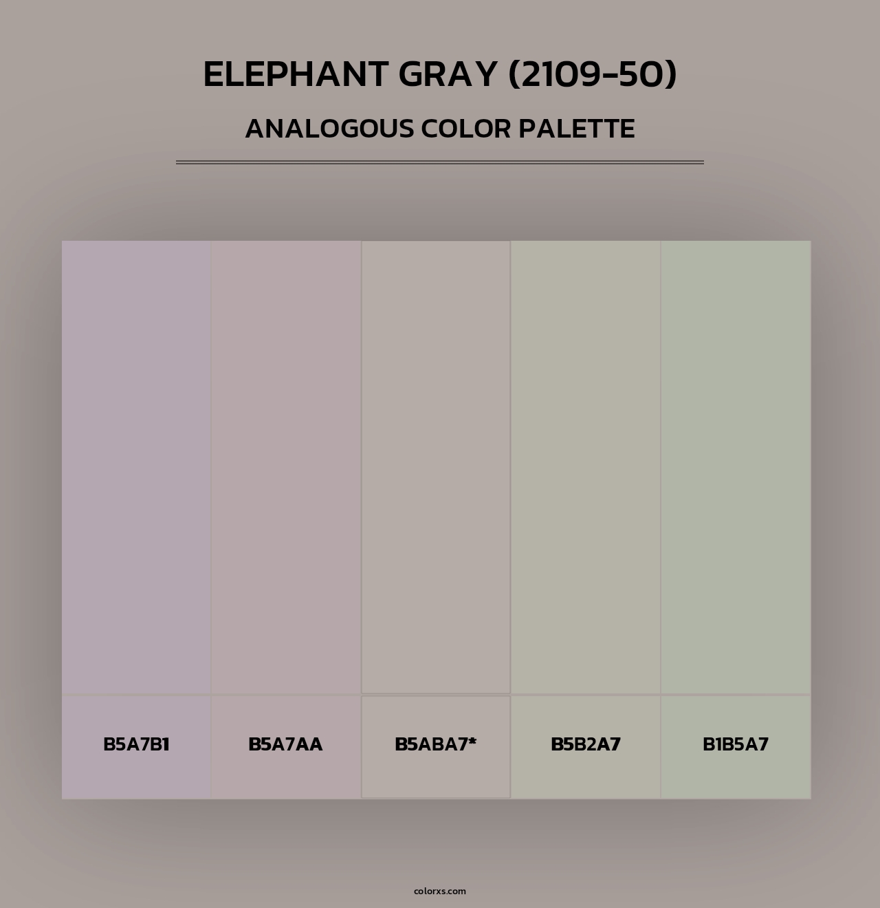 Elephant Gray (2109-50) - Analogous Color Palette