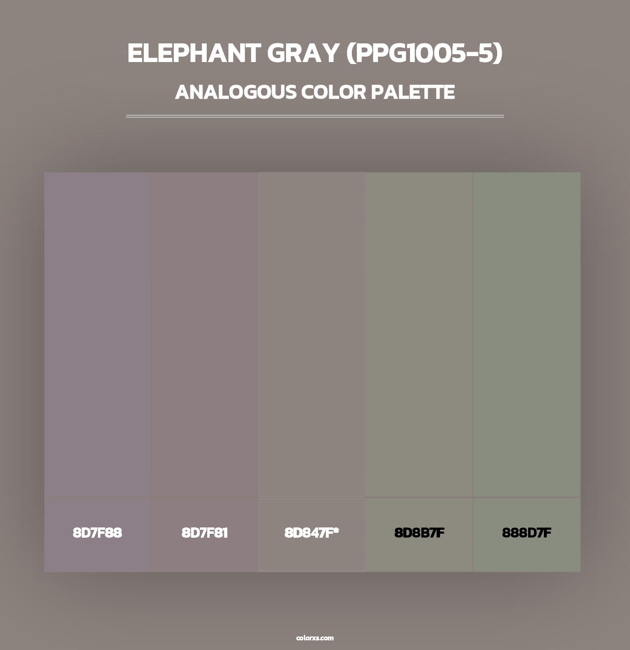 Elephant Gray (PPG1005-5) - Analogous Color Palette