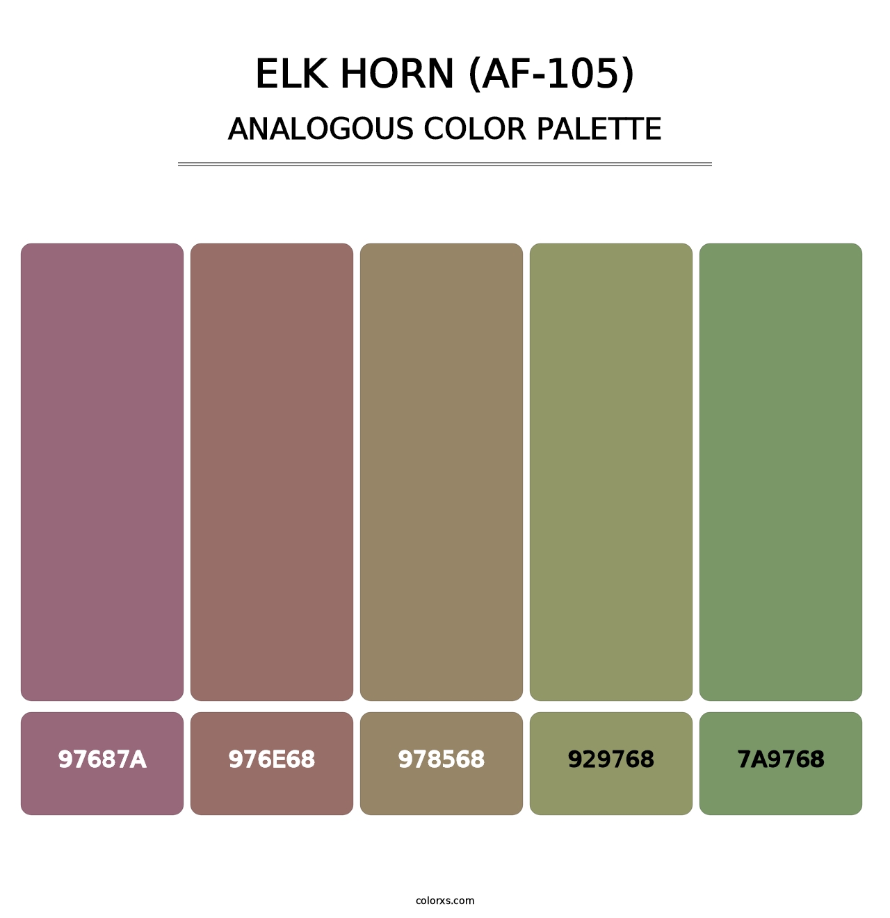 Elk Horn (AF-105) - Analogous Color Palette