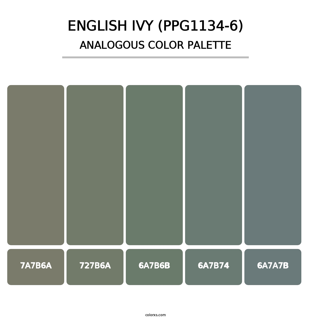 English Ivy (PPG1134-6) - Analogous Color Palette