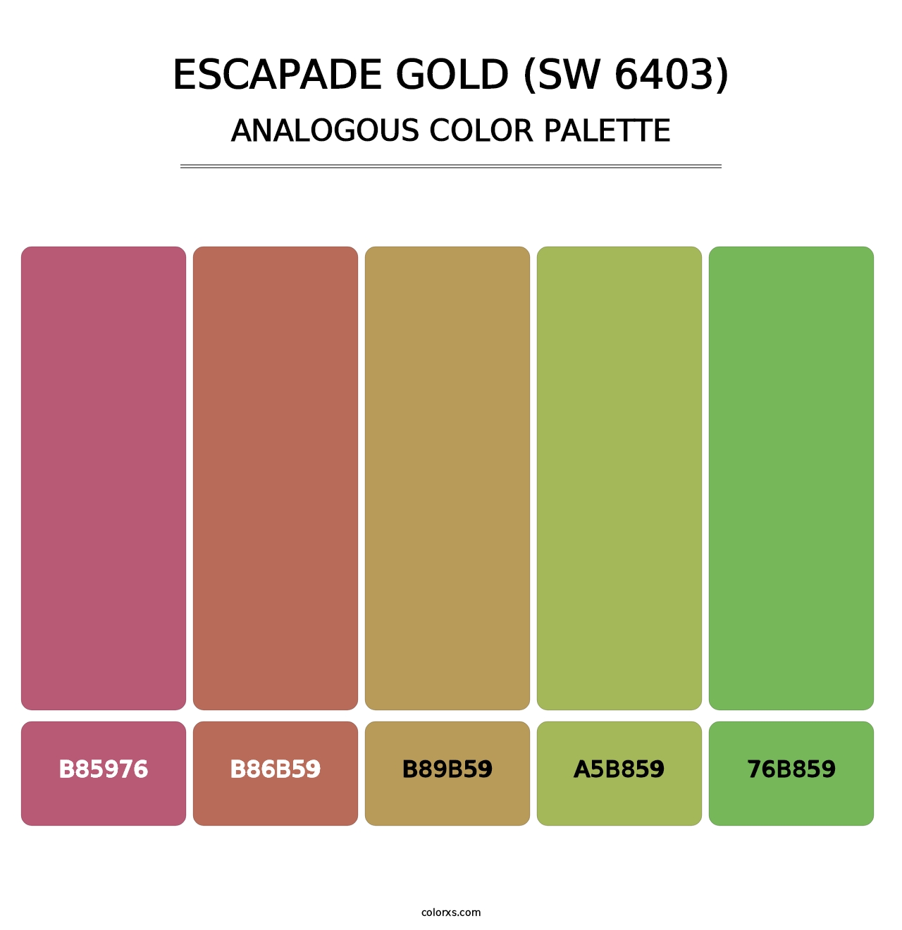 Escapade Gold (SW 6403) - Analogous Color Palette