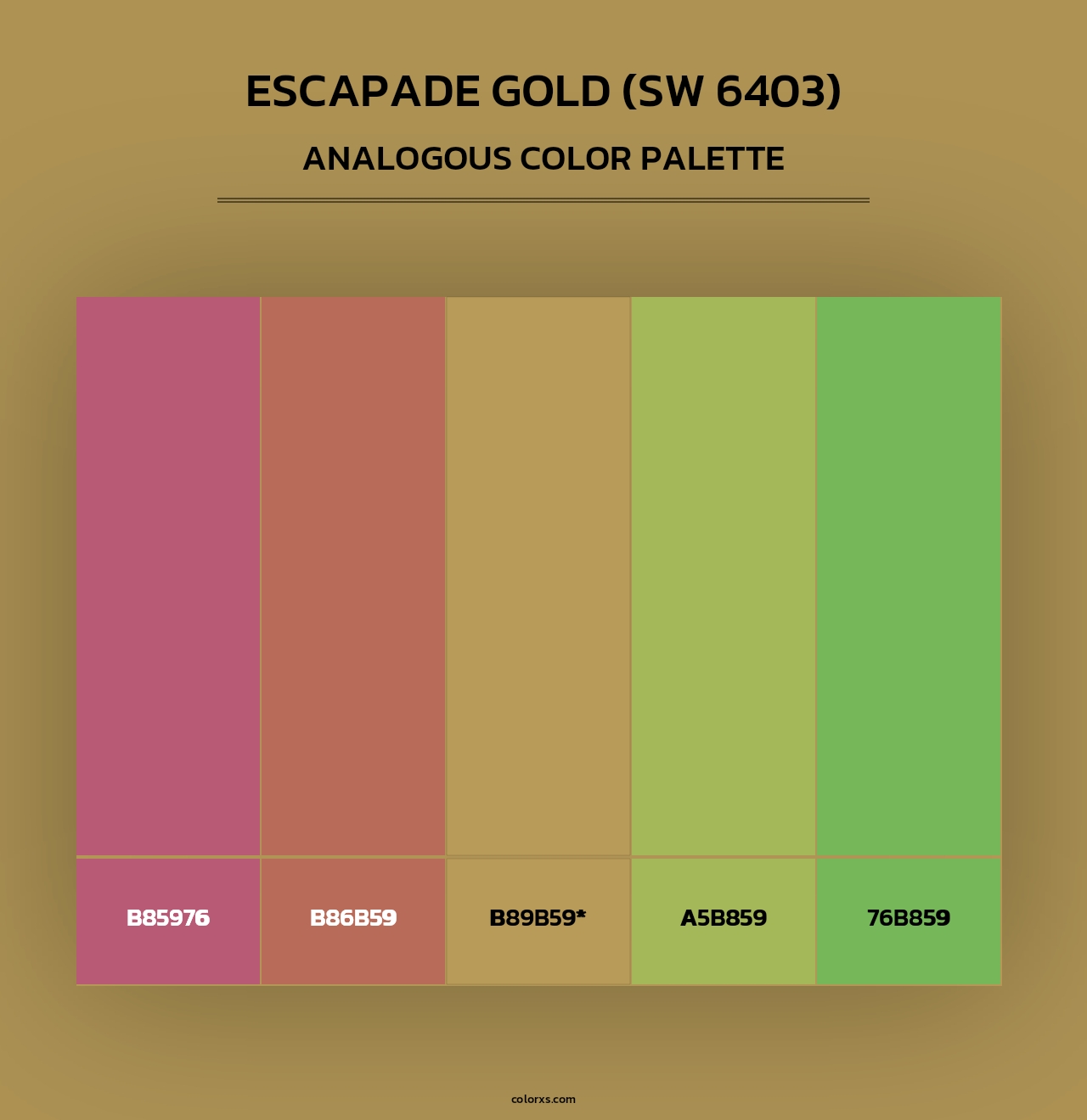 Escapade Gold (SW 6403) - Analogous Color Palette