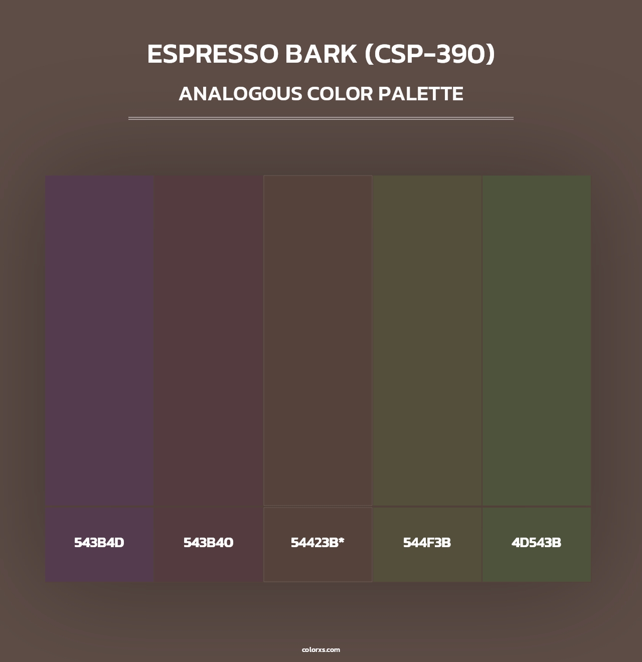 Espresso Bark (CSP-390) - Analogous Color Palette