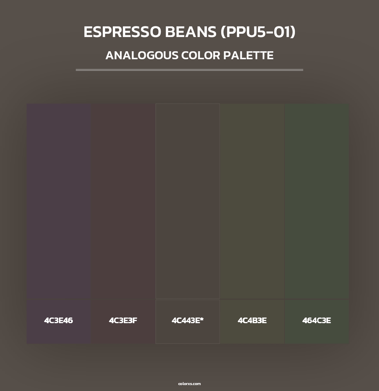Espresso Beans (PPU5-01) - Analogous Color Palette