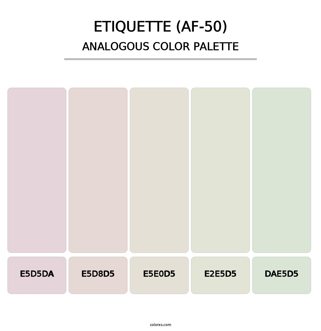 Etiquette (AF-50) - Analogous Color Palette
