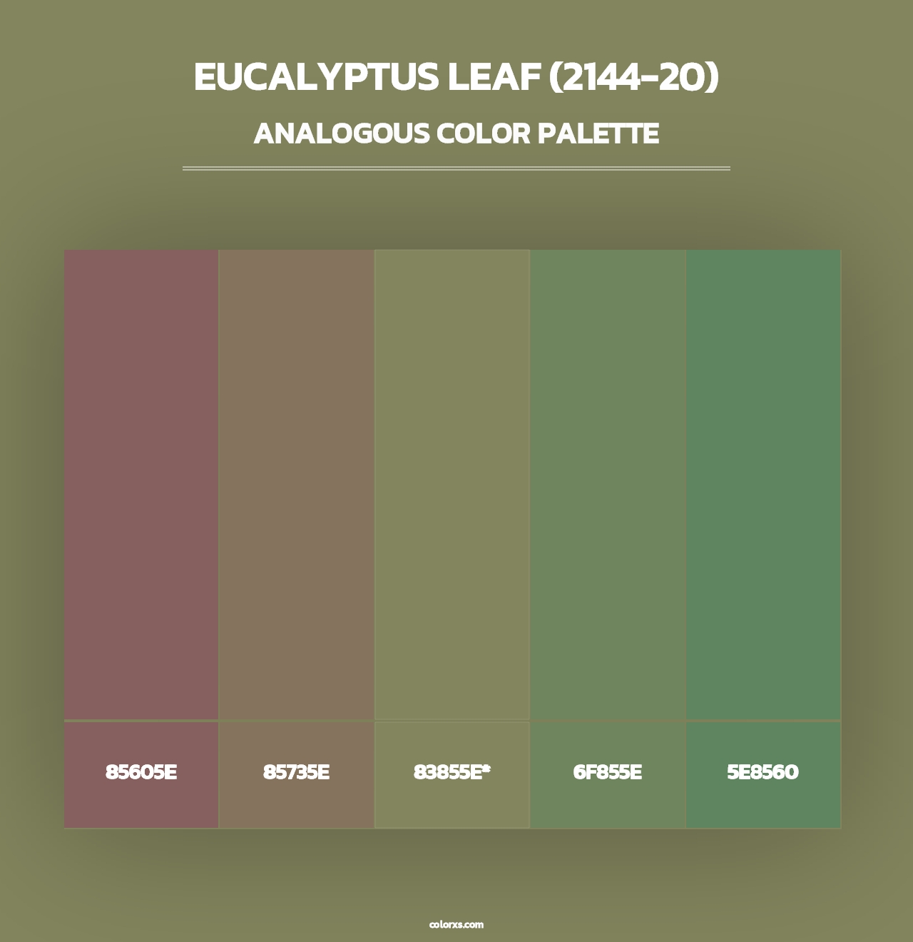 Eucalyptus Leaf (2144-20) - Analogous Color Palette