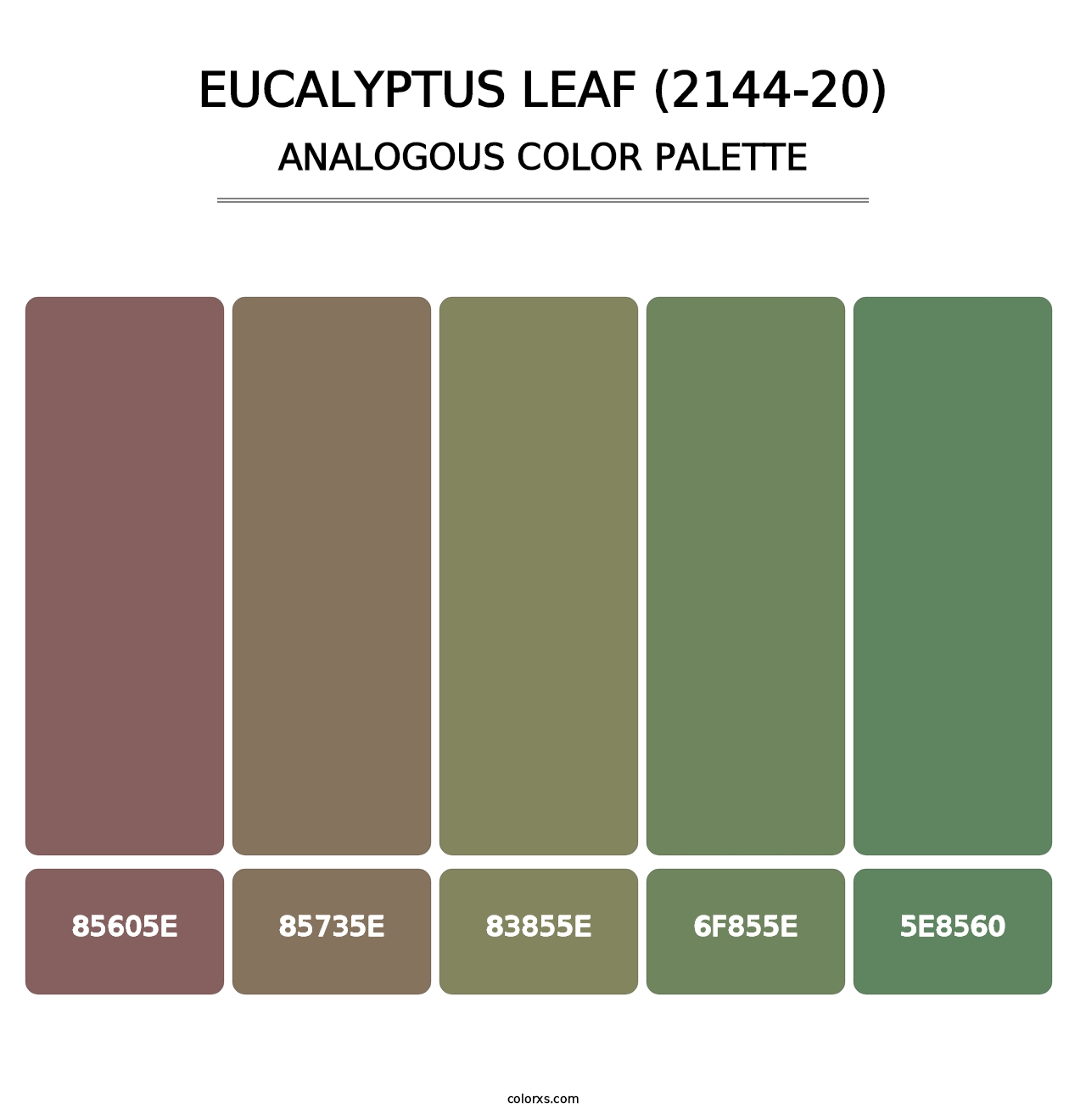 Eucalyptus Leaf (2144-20) - Analogous Color Palette