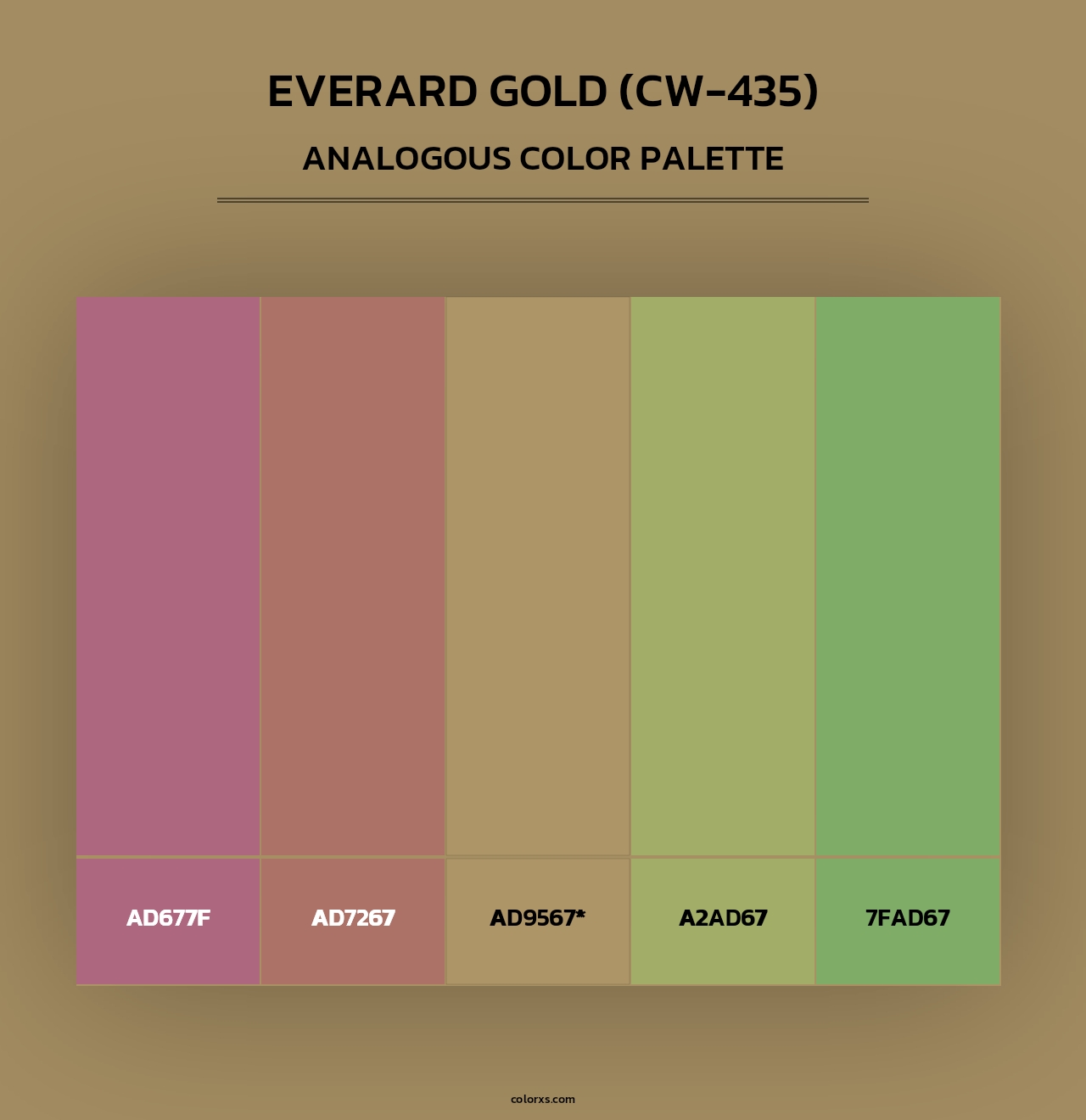 Everard Gold (CW-435) - Analogous Color Palette
