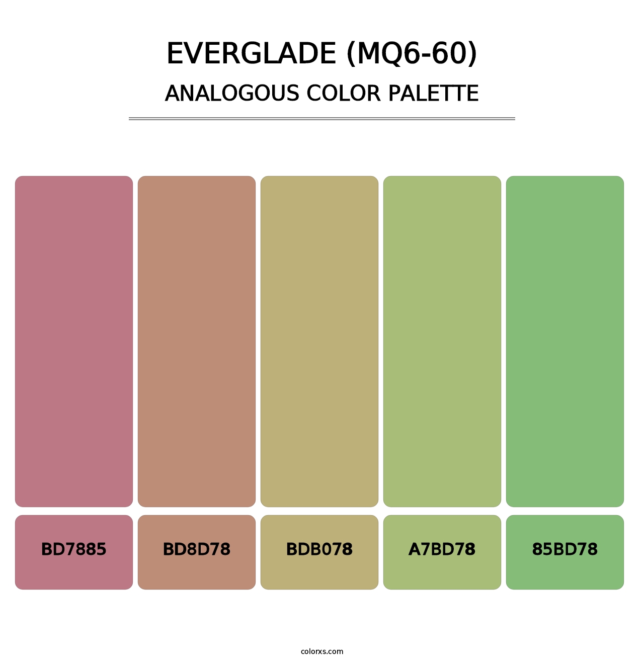 Everglade (MQ6-60) - Analogous Color Palette