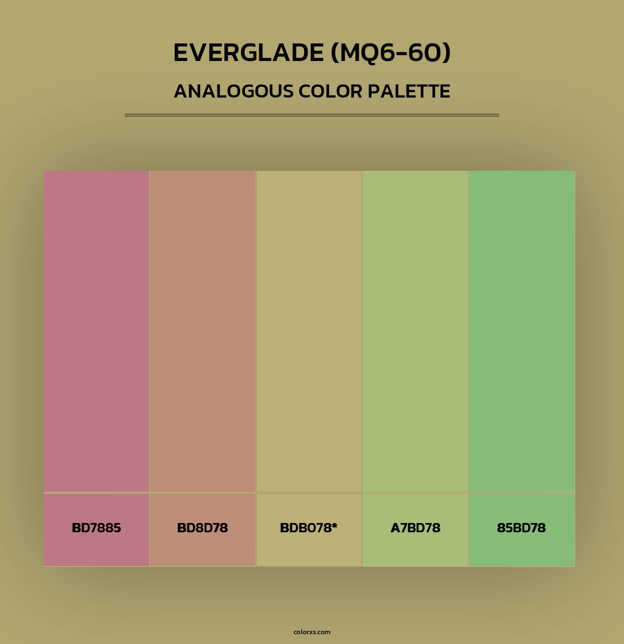 Everglade (MQ6-60) - Analogous Color Palette